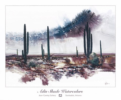 Framed Desert Monsoon Skies Print