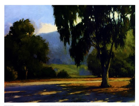 Framed Eucalyptus Sunset Print