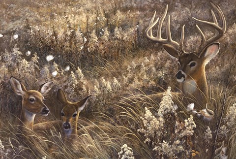 Framed Peaceful Place Print