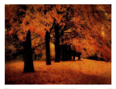 Framed Gold Of Autumn East Print