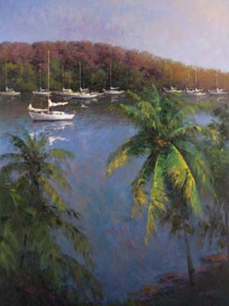 Framed Caribbean Lagoon Print