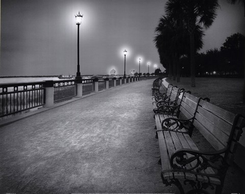 Framed Charleston I Print