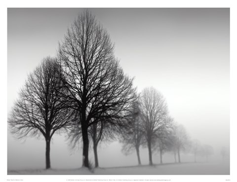 Framed Winter Trees III Print