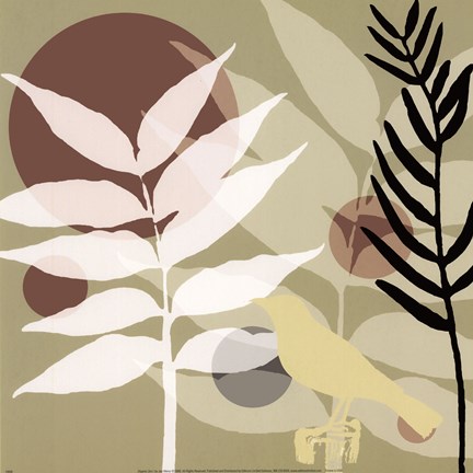 Framed Organic Zen I Print