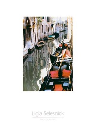 Framed Ligia Selesnick - Venice Series III Size 16x20 Print