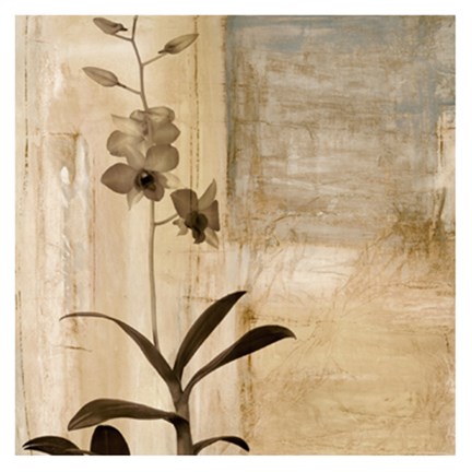 Framed Shadow Dance I Print