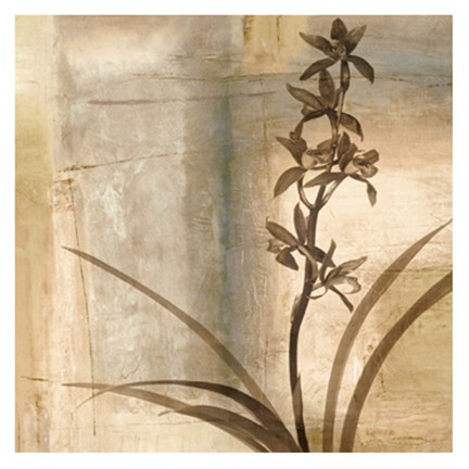 Framed Shadow Dance II Print