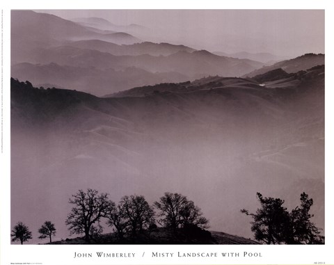 Framed Misty Landscape With Pool Print