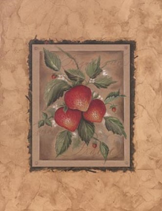 Framed Fraise Fructus Print