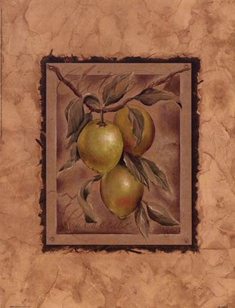 Framed Citron Fructus Print