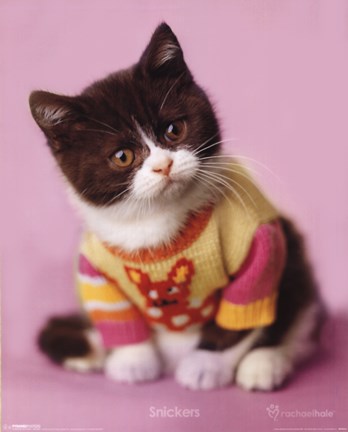 Framed Snickers Print