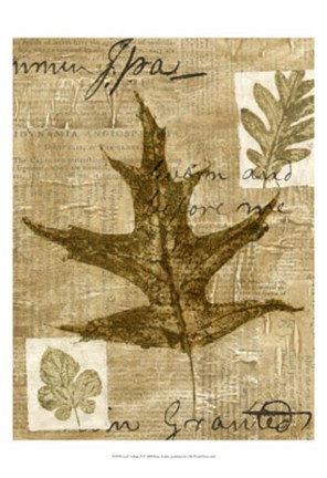 Framed Leaf Collage II Print