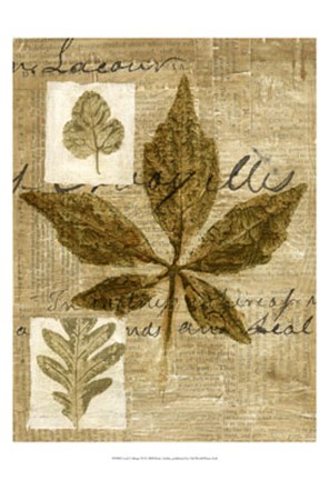 Framed Leaf Collage III Print