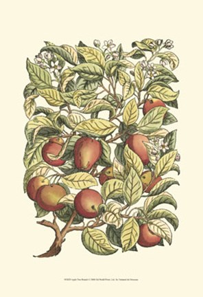 Framed Apple Tree Branch Print