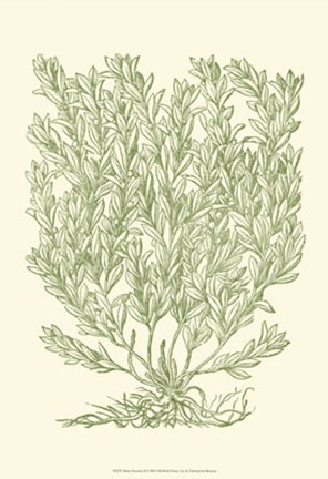 Framed Mossy Branches II Print