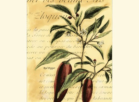 Framed Red Pepper Print