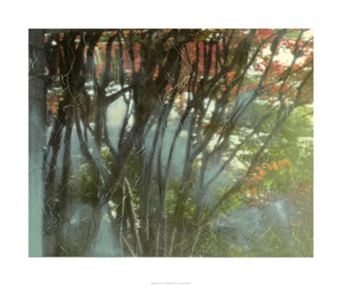 Framed Dream Sequence IV Print