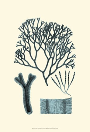 Framed Azure Seaweed IV Print