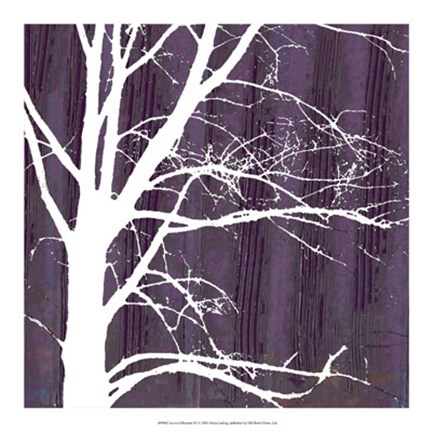 Framed Aurora Silhouette IV Print