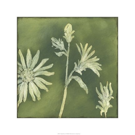 Framed Verdigris Blossoms II Print