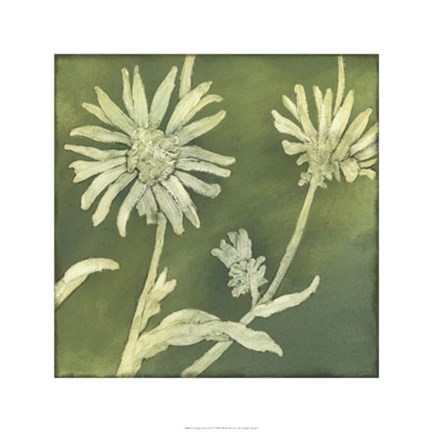 Framed Verdigris Blossoms IV Print