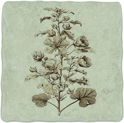 Framed Imperial Munting I Print