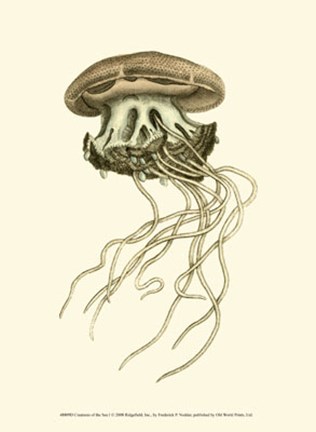 Framed Creatures of the Sea I Print