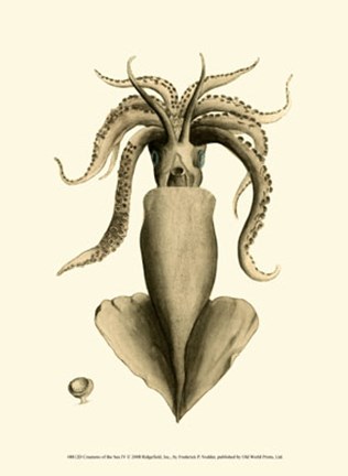 Framed Creatures of the Sea IV Print