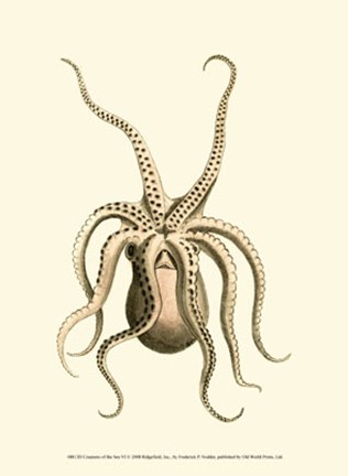 Framed Creatures of the Sea VI Print