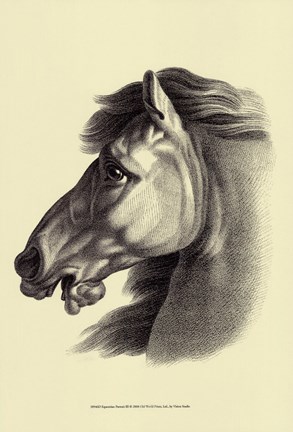 Framed Equestrian Portrait III Print