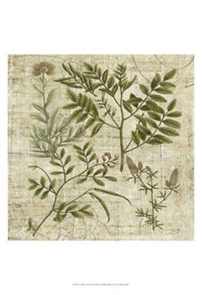 Framed Garden Verses II Print