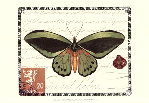 Framed Butterfly Prose II Print