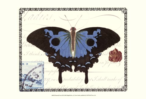 Framed Butterfly Prose III Print