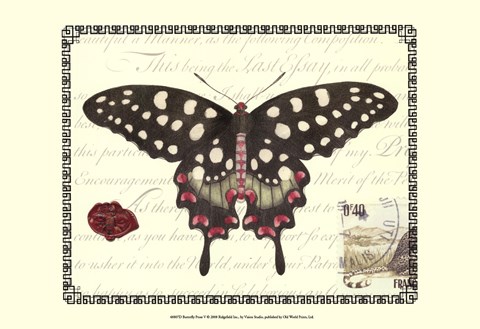 Framed Butterfly Prose V Print