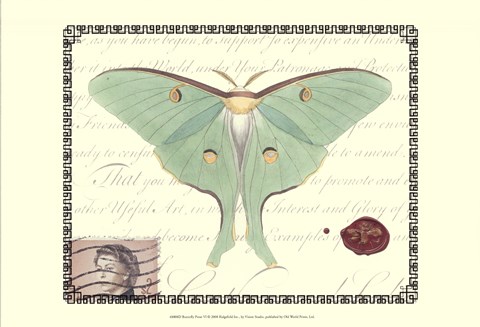Framed Butterfly Prose VI Print