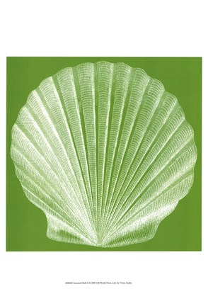 Framed Saturated Shells II Print