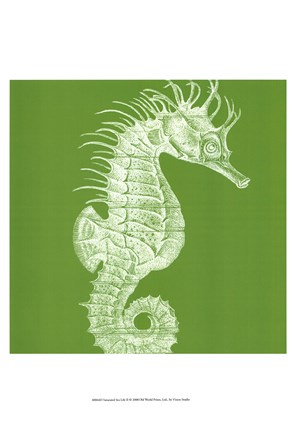 Framed Saturated Sealife II Print