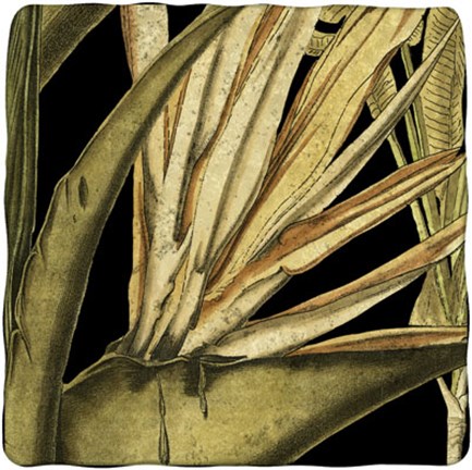 Framed Tranquil Tropical Leaves III Print