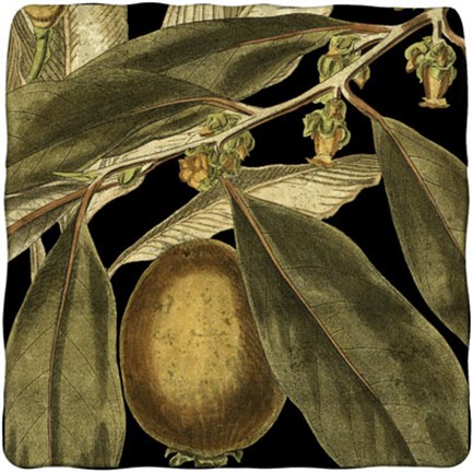 Framed Tranquil Tropical Leaves IV Print