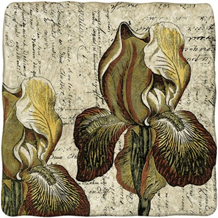 Framed Vintage Composition III Print