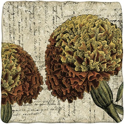 Framed Vintage Composition IV Print