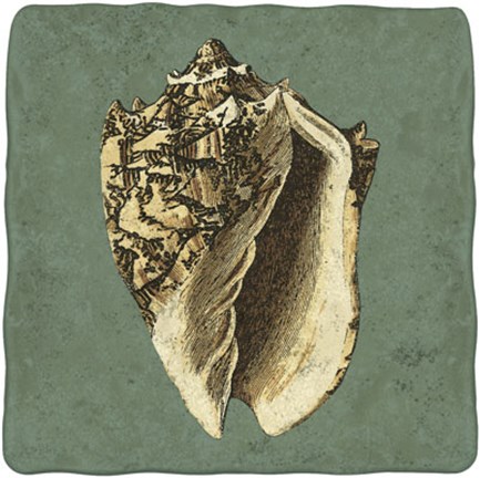 Framed Oceans Treasure I Print