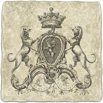 Framed Heraldry III Print