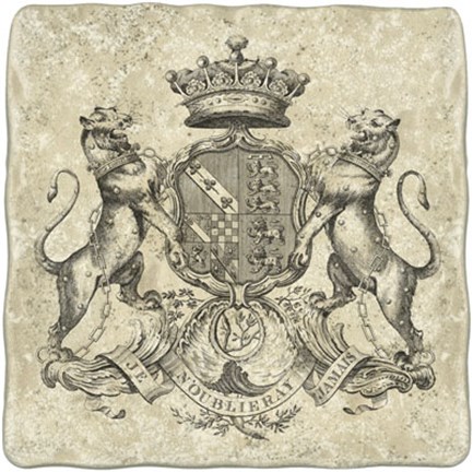 Framed Heraldry IV Print