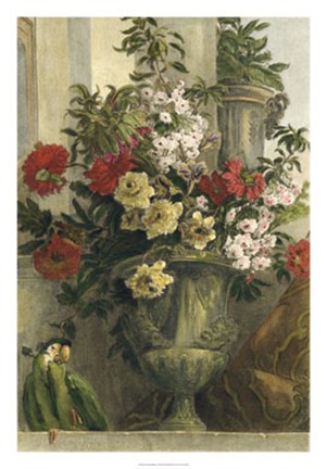 Framed From the Garden Print