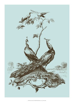 Framed Avian Toile II Print