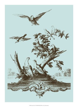 Framed Avian Toile IV Print