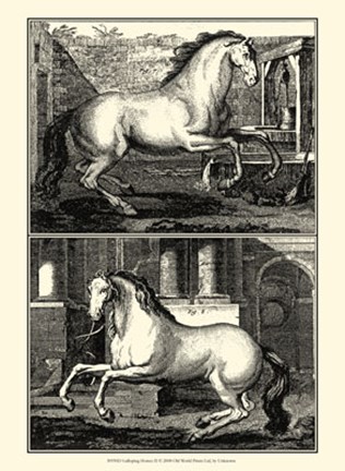 Framed Galloping Horses II Print