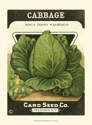 Framed Cabbage Print