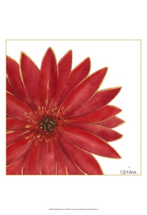 Framed Bright Blossoms II Print